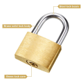 12 Pack Mini Padlock Small Padlock Solid Brass Locks Gold Brass with 3 Key for Luggage Lock,Backpack,Gym Locker Lock,Suitcase Lock.