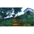 Tea Garden Cottage 1 Night Package During Weekdays - Novem Eco Resort. 