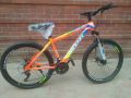 26" Phoenix Tornado 21-Speed Gear Bicycle - Explore The Outdoors With This Reliable And Agile Mountain Bike. 