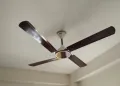 Conion Signature Ceiling Fan 56 inch, RPM: 305, Watt: 75, Color: Brilliant Maroon, 07 Years Guaranty.