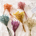 Small Natural Dried Flowers Bouquet Natural Dried Bouquets Fresh Dried Preserved Flowers Dry Flowers Press Home Wedding Decor. 