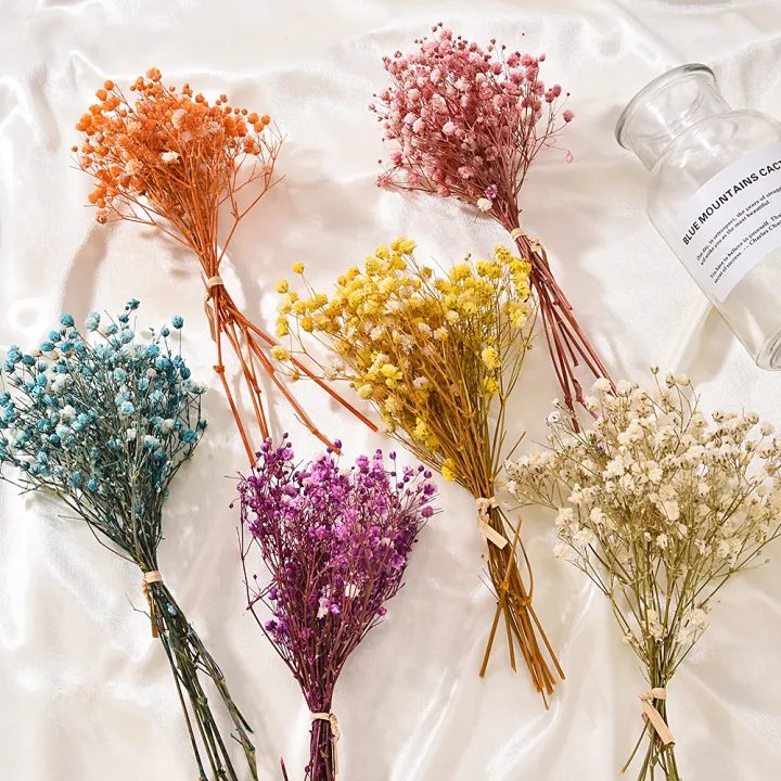 Small%20Natural%20Dried%20Flowers%20Bouquet%20Natural%20Dried%20Bouquets%20Fresh%20Dried%20Preserved%20Flowers%20Dry%20Flowers%20Press%20Home%20Wedding%20Decor%20-%20Image%202