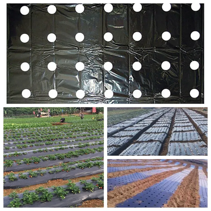 Plastic%200.95*10m%20Greenhouse%20Grow%20Vegetable%20Keep%20Warm%20Mulch%20Film%20Perforated%20Film%20Agriculture%20Supplies%20Garden%20Supplies%20-%20Image%207