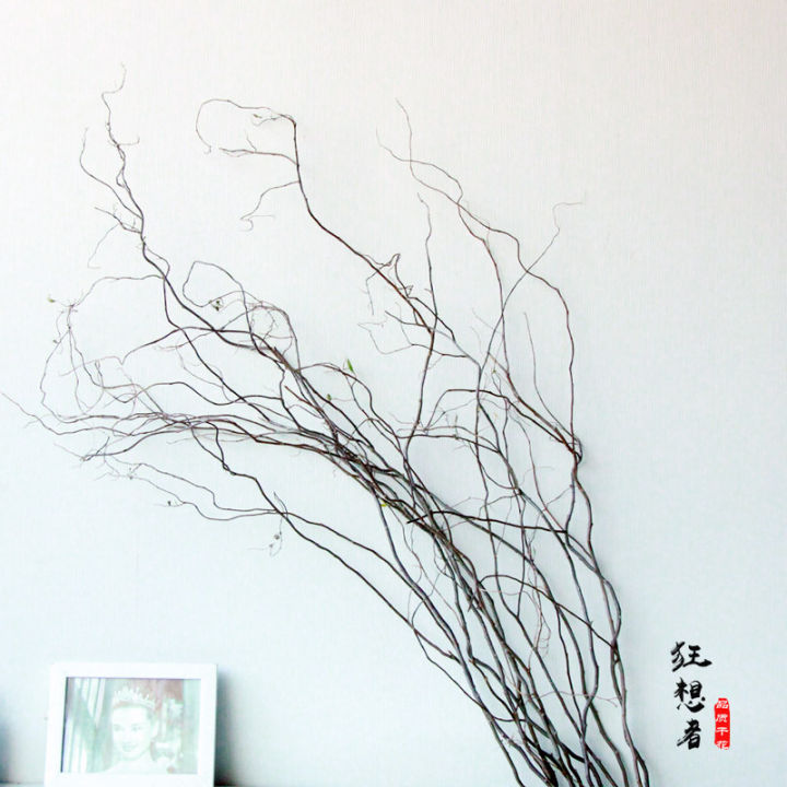 %5BDragon%20Willow%20Dried%20Branches%5D%20Curved%20Willow%20Branches%20Extra%20Long%201.5%20Meters%20Natural%20Dried%20Bouquet%20Dried%20Branches%20for%20Home%20Decoration%20-%20Image%203