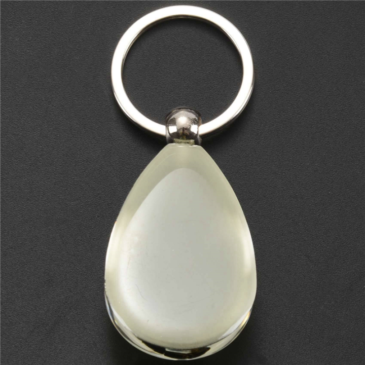 5X%20Glow-In-The-Dark%20Real%20Insect%20Keychain%20()%20-%20Image%206