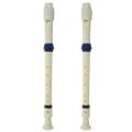 Music Instrument 6 Holes Soprano Flute Recorder White Blue.