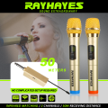 RAYHAYES Professional Wireless Microphone Original UHF Dual Handheld Karaoke Wireless Microphone with Receiver Mikrofon. 