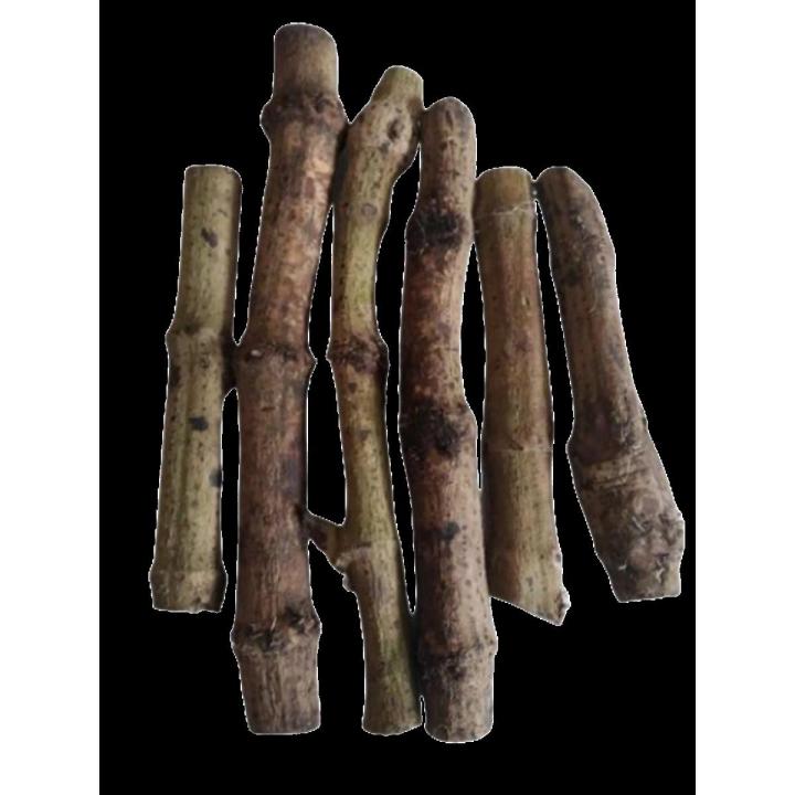 Piper Chaba - 100gm | Daraz.com.bd