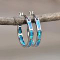 Temu cross-border blue opal round earrings cross-border e-commerce European and American fashion men's and women's earrings. 