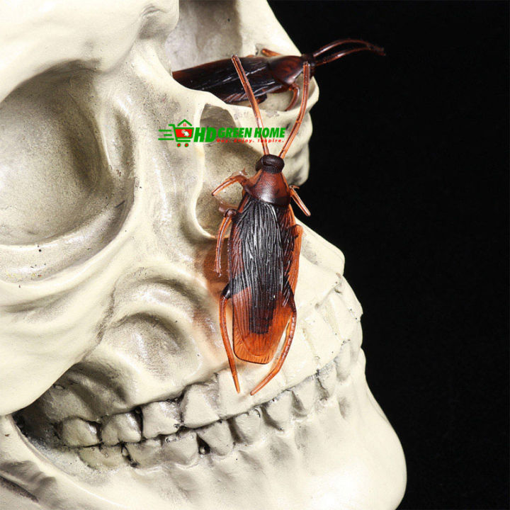 10%20pcs%20x%20Simulation%20Plastic%20Cockroach%20Toy%20Realistic%20Insect%20Prank%20Funny%20Toys%20-%20Image%205