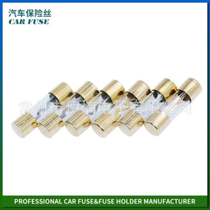 Changzhou%20Y129%20glass%20tube%20automotive%20fuse%2010X38MM%20GLASS%20FUSE%20-%20Image%204