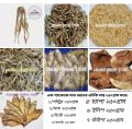 Dry - Shutki - One Package Of Seven Types Dry Fish. 