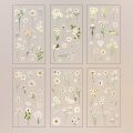 6 pcs/pack Adhesive PVC Plant Flower Sticker Journal Supplies DIY sticker Vintage Transparent Flower Stickers Waterproof Clear PET Scrapbook Stickers Album.
