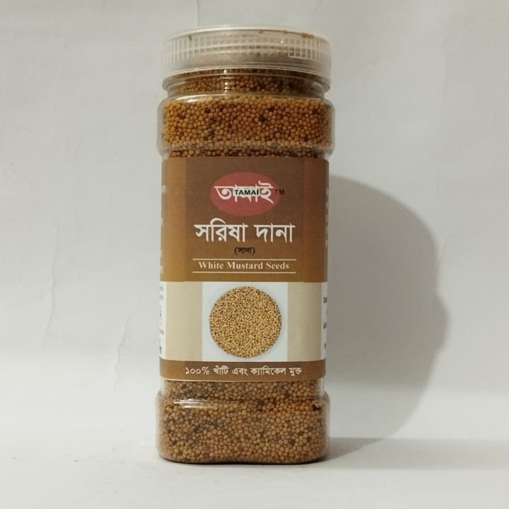 Kristina Shmidt, porno aktrisa