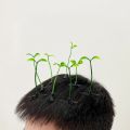 Green Bean Sprout Grass Hair Clip Funny Creative Cute Small Hairpin For Girls Women Green Bud Barrettes Hair Accessories.