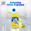 (Tiffin Box Free) Lizol Disinfectant Floor & Surface Cleaner 2 X 500ml Citrus.