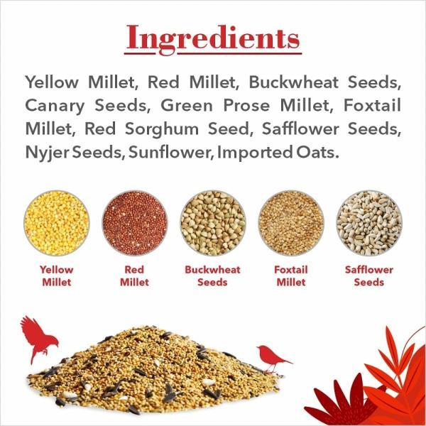 Budgerigar%20Bird%20Food%20Mix%201kg%20-%20Image%203