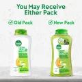Dettol Lasting Fresh Bodywash with 12 Hour Odour Protection (250ml X 2). 