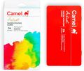 Camel Artist water color cake Pack of 24 Shade | Convenient pack to carry for outdoor work, contains 24 most required assorted shades. 
