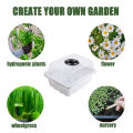 Plastic Seed Starter Tray Greenhouse Seeding Garden Seed Pot Grow Planter Box.
