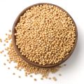 Yellow Sorisha  / Sorisa Dhana / Mustard Seeds ( White Mustard ) - 300gm. 