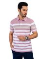 Richman Cotton Pink Color Stripe Polo For Men. 