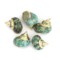 5 PCs Natural Shell Pendants Gold Conch/ Sea Snail Multicolors Charms For Fashion DIY Handmade Jewelry Making. 