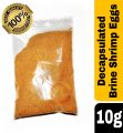 Decapsulated Brine Shrimp Eggs ( Artemia) fish food best for baby fish best quality repack 10 gram.