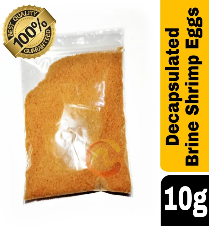 Decapsulated%20Brine%20Shrimp%20Eggs%20(%20Artemia)%20fish%20food%20best%20for%20baby%20fish%20best%20quality%20repack%2010%20gram%20-%20Image%204