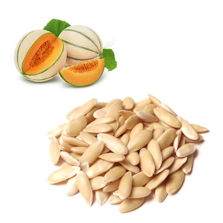 Sol Set Rockmelon Hybrid Rockmelon Seeds - 05 pcs Rock Melon / Cantaloupe Melon | Daraz ...