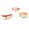 Single Piece Halloween Teeth Decorative Plastic Flexible Dentures Realistic Vampire Teeth for Halloween Party Children Cosplay. 