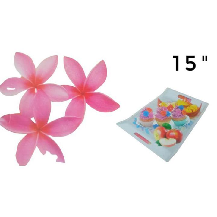 15" Akash Melamine Nasta Tray (1pcs)