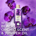 Lux Body Wash Black Orchid Scent & Juniper Oil 245ml. 