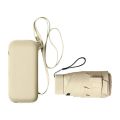 Travel Umbrella Mini Foldable Compact Umbrella with Case Lighter.