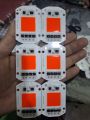 AC 220v Led Light Chip 50w COB White Color Hight Bright best quality.