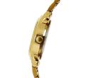 Titan 2534YM01 Beige Dial Analog Watch For Women- Gold. 