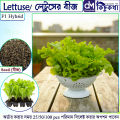 Lettuse Seed - 25/50 pcs F1 Hybrid - লেটুস পাতার বীজ.