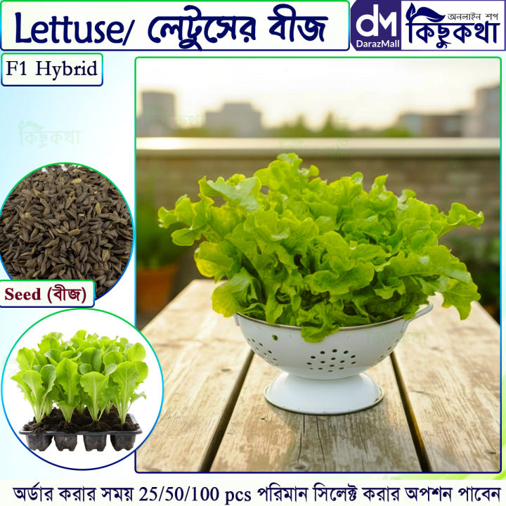 Lettuse Seed - 25/50 pcs F1 Hybrid - লেটুস পাতার বীজ