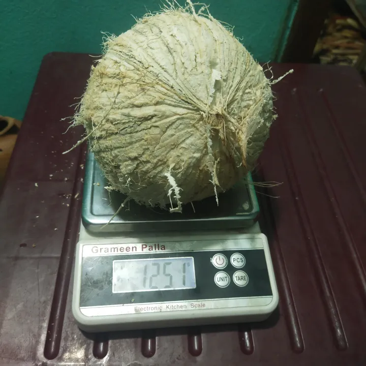 Dry%20Coconut%20Seed%201%20peices%20800gm-1000gm%20Big%20size%20-%20Image%2010