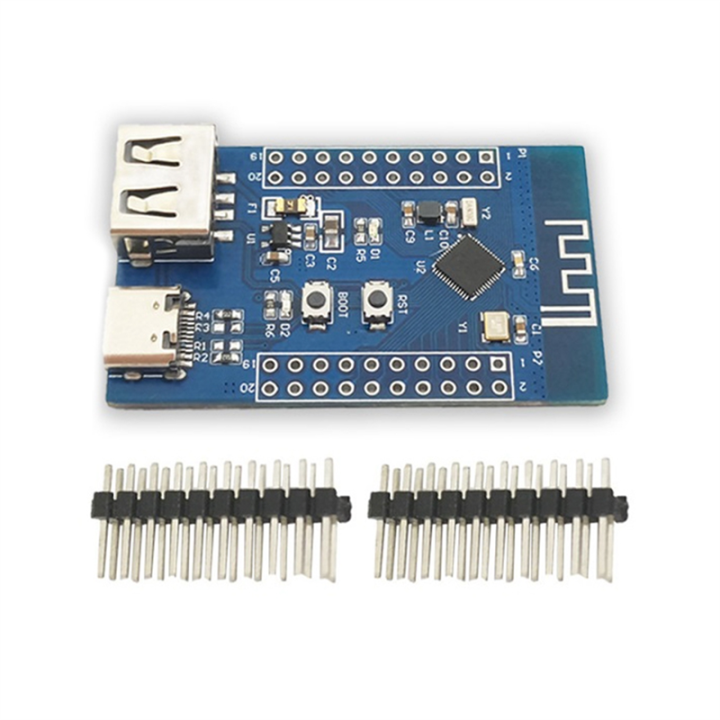 Bluetooth Modules Controller Modules Multifunction Portable Low Power Bluetooth Dual USB RISC-V Module