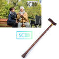 Adjustable Walking Stick for Old People.