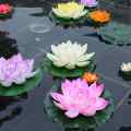 Lotus Water Lily Pool Floating Lotus Leaf Flowers Home 1 Pcs. 