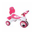 Rock Rider Tri Cycle For kids boys and girls RFL Toys. 