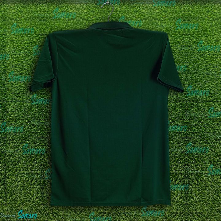 Pakistan%20T20%20World%20Cup%20Jersey%202026/2027%20Half%20Sleeve%20Collar%20Polo%20Cricket%20Jersey%20For%20Men%20-%20Pakistan%20Cricket%20Jersey%202026%20-%20Image%204