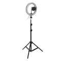 10" Ring Light Studio SET for Youtuber/Facebook live\ TikTok Video with 200cm Stand.