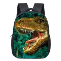 Dinosaur Magic Dragon Backpack for Kids Animals Children Schoolbags Boys Girls School Bags Kindergarten Backpack Book Bag-12KONGLONG20. 