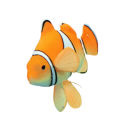 【Atoztide Store】Luminous Glowing Floating Clownfish Fish Aquarium. 