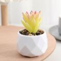 Mini Evergreen Artificial Succulent Fake Plants Plastic Succulents Bonsai Cactus Bonsai Plants Home. 