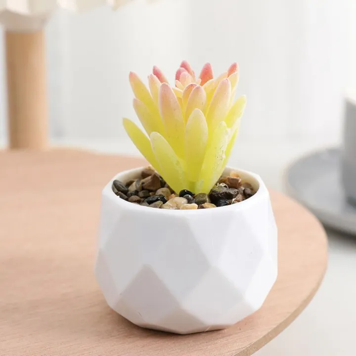 Mini%20Evergreen%20Artificial%20Succulent%20Fake%20Plants%20Plastic%20Succulents%20Bonsai%20Cactus%20Bonsai%20Plants%20Home%20-%20Image%205