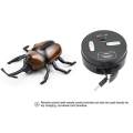 Electric Infrared Remote Control Animal Robotic Scarab Rhino Beetle High Simulation Insect Straight Line Reptile Model Toys.